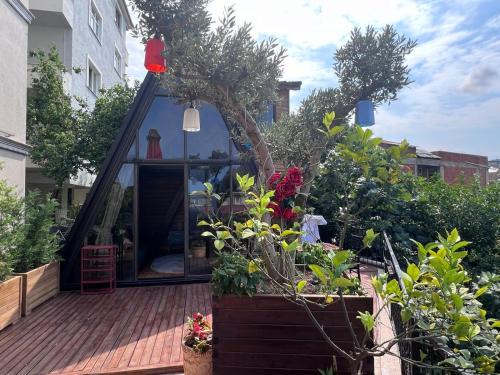 Trabzon Ski Chalet | SİMGE Apt