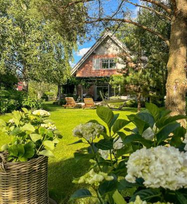 Dziemiany House | Siedlisko Belfort - Dom Wschodów
