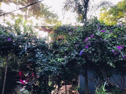 Sigiriya Hotel | Sigiri Liya Rest