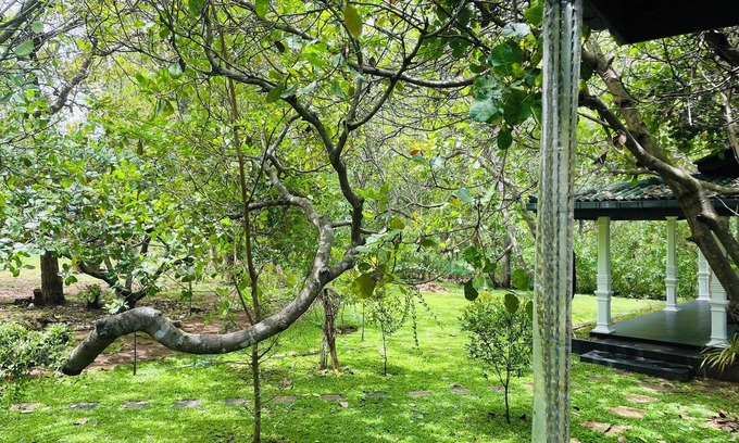 Dambulla Hotel | Sigiri Suncap Cottage