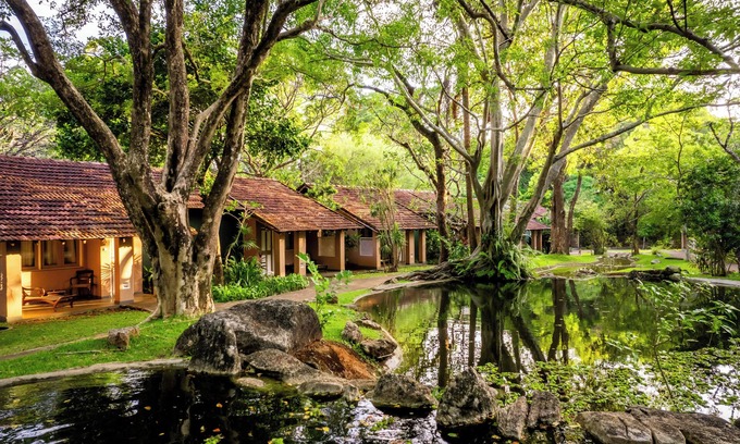 Sigiriya Hotel | Sigiriya Village