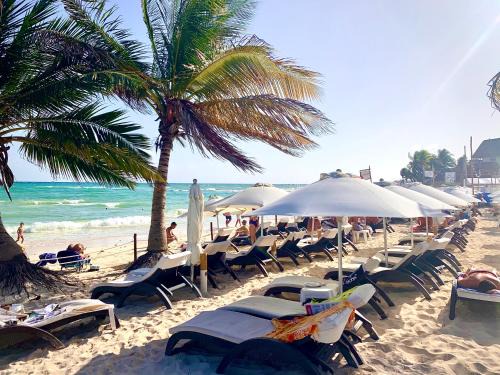 Zazil-ha Hotel | SILVERSANDS Hotel Boutique - 5Th Ave