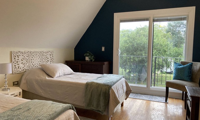 Near West Side House | Single Family Home in the Heart of Chicago. By UIC, Medical District, Pilsen!