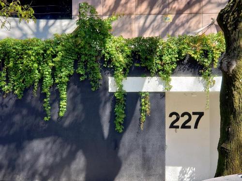 Miguel Hidalgo Hotel | Singular Goldsmith