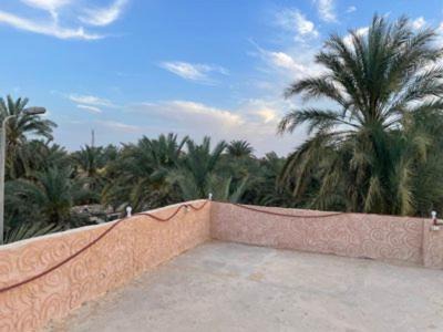 Shurtah al-Dakhlah Hotel | Siwewi green house
