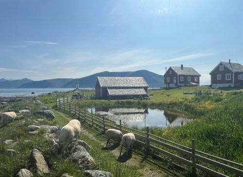 Godøy House | Sjarmerende Bolig På Gammel Fyrstasjon