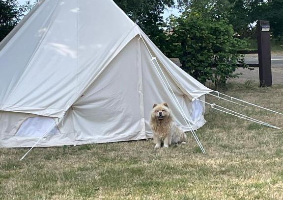 Skegness Other | Skegness campsite Bring your own tent or caravan riverside grass pitch