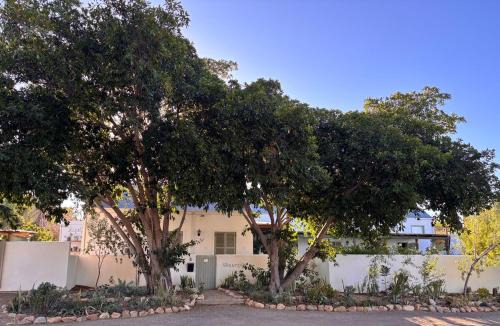 Prince Albert Apartment | Skuurtjie