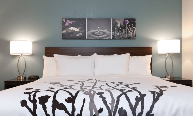 McDonough Hotel | Sleep Inn McDonough South