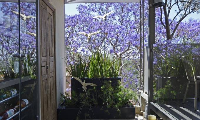 San Miguel de Allende Hotel | Small Luxury Hotel El Golpe De Vista