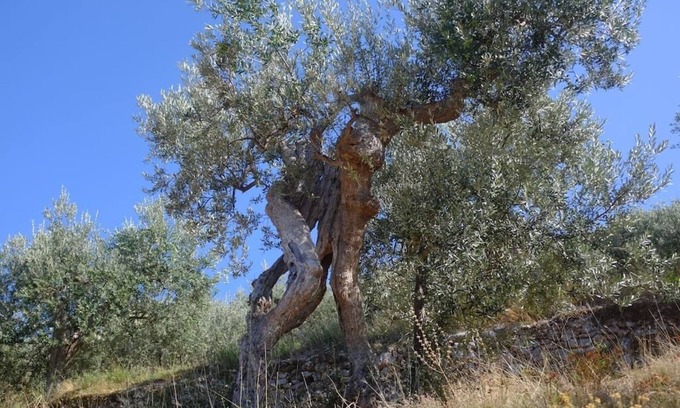 Bovara House | Small villa overlooking the Umbrian Valley # 2