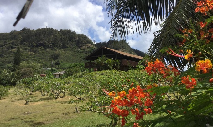 Pupukea House | Smokie Acre Blossoms - North Shore Oahu, Sunset Beach