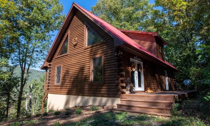 Waynesville Cabin | Smokies Overlook Lodge Game Room Spa Sauna new Fiber