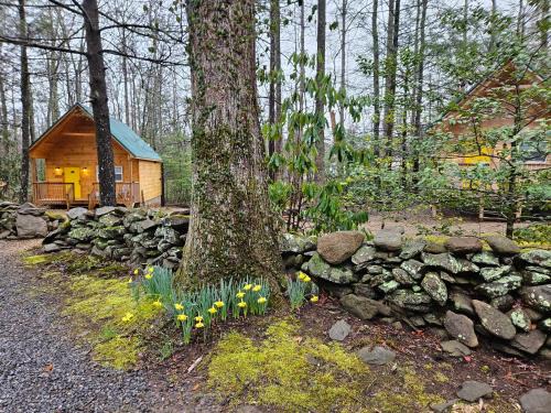 Cosby House | Smoky Mountain Retreat - 2 Cabins