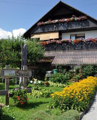 Bohinjska Bistrica Apartment | Snežak (Snowman)