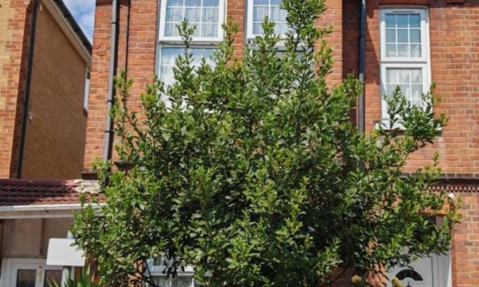 Slough Apartment | SnoozeDen Wellesley – Near to Slough Station