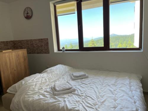 Zrenjanin Apartment | Snow Hill Kopaonik