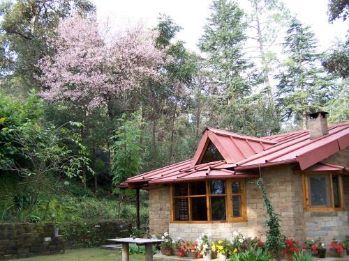 Almora Ski Chalet | Snow View Cottage Kasardevi