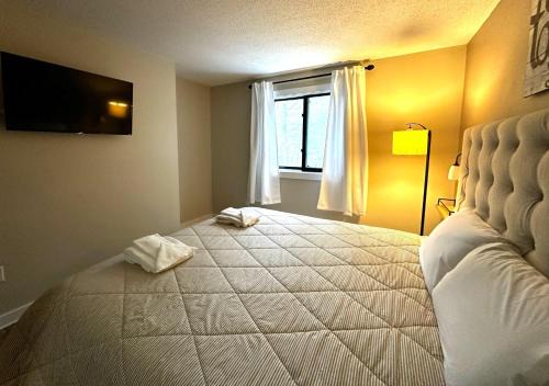 Waterville Valley House | Snowsbrook 5 WV
