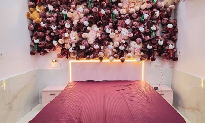 Govindpuri Apartment | Snuggle Inn - Teddy themed BnB (couple friendly)