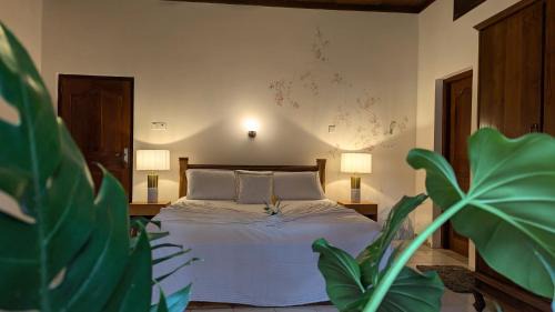 Negombo Bed & Breakfast | Sobaya Bungalow