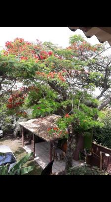 Arroio do Sal House | Sobrado com vista profissional do mar