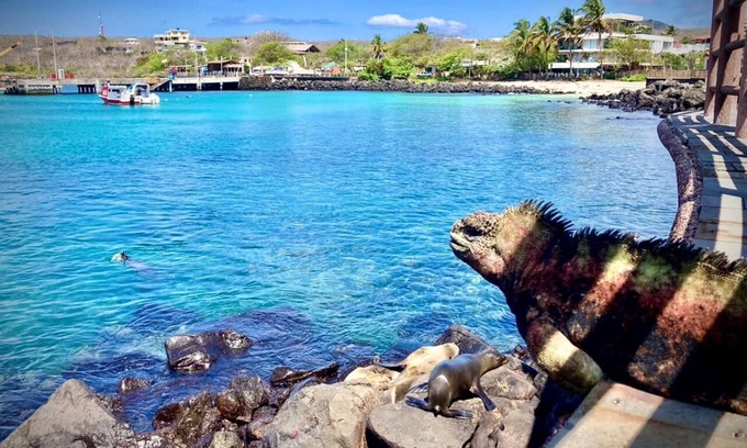 Puerto Baquerizo Moreno House | Sol y Mar Guest House