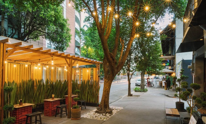 Colonia Cuauhtemoc Apartment | Sonder Cascada