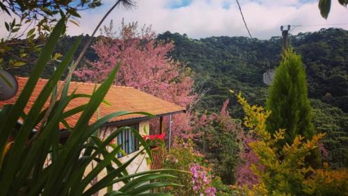 Goncalves Cabin | Sonho na Serra Chalé 1