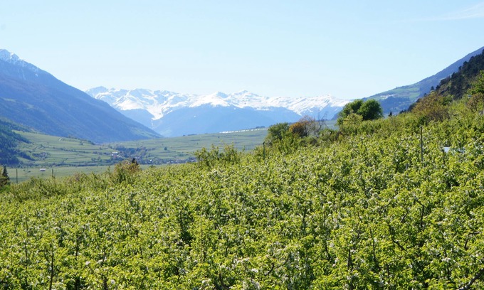 Silandro Apartment | South Tyrol Apartments Haus Maria in Schlanders Vinschgau. with brine bath