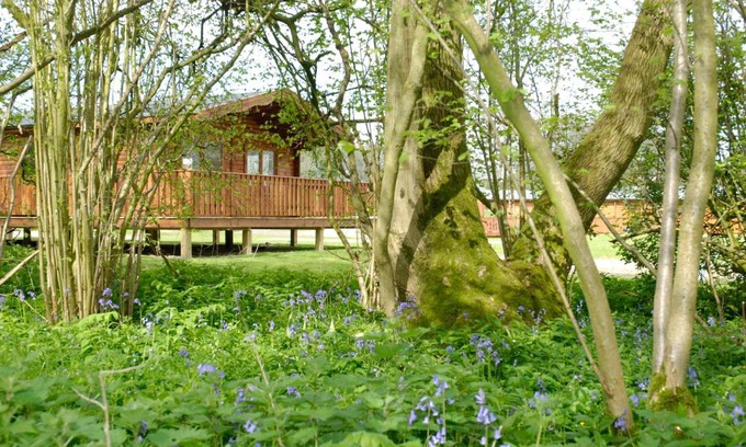Winchester Cabin | South Winchester Lodges