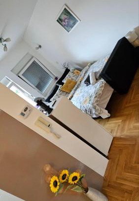 Vrsac Apartment | Sova