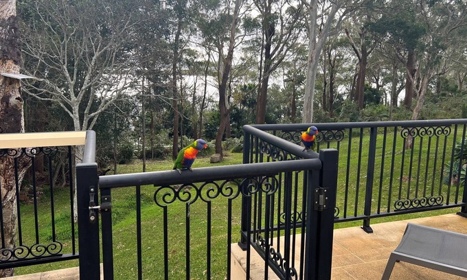 Soldiers Point House | Spacious 4 Bedroom Home, Private Beach Access