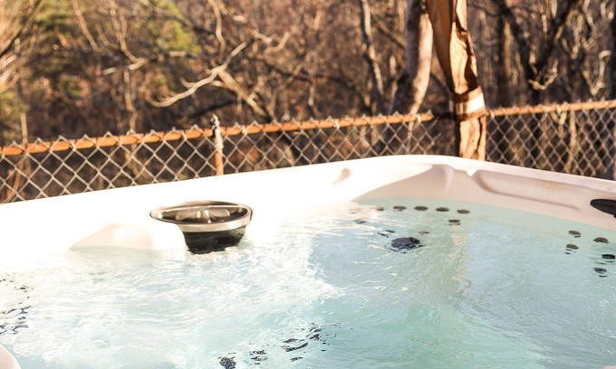 Candler House | Spacious 5-bedroom property w/ pickleball, basketball, hot tub, mtn views