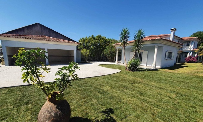 Pataias Gare Villa | Spacious and modern villa in the middle of the pines - Clos de mur - NAZARÉ