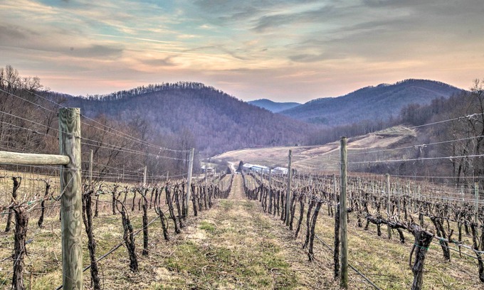 Faber House | Spacious Faber Home w/Yard, Steps to Winery!