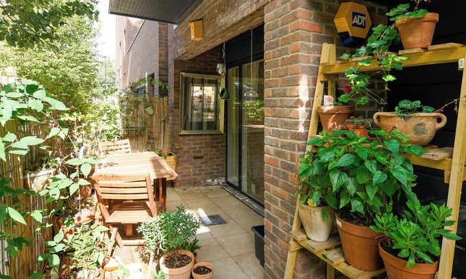 Haggerston Apartment | Spacious home with a touch of wilderness at the heart of East London.