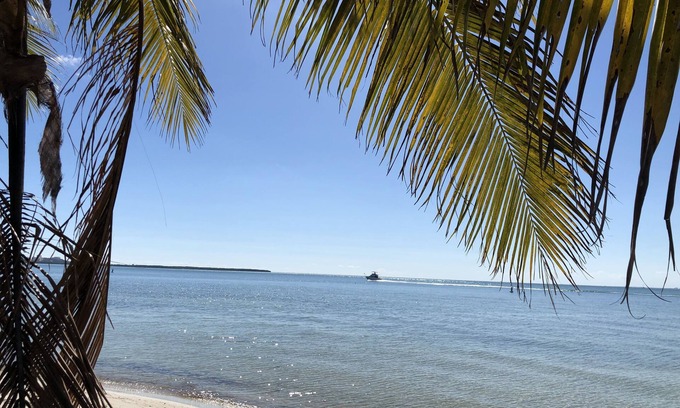 Coconut Grove Cottage | 🐕‍🦺❤️SPECIAL PROMO Romantic Beautiful Cottage in idyllic GROVE neighborhood