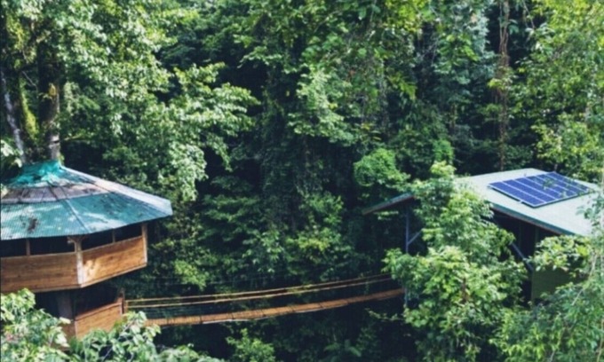 Piedras Blancas House | SpectacularJungle Canopy Treehouse