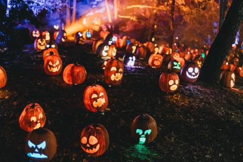 Labasheeda Other | Spooktacular Halloween Shannon Estuary Glamping Budget-Sustainable-Rustic-Countryside Holiday Accommodation