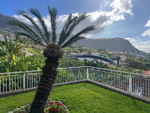 Arco da Calheta House | Spring House AL