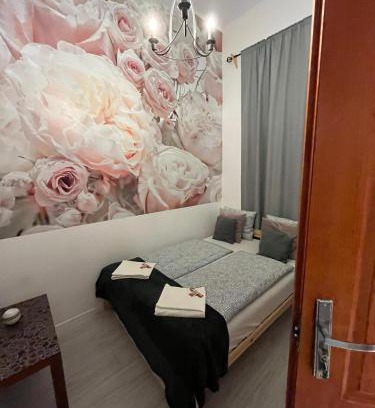 Inner City Budapest Apartment | Spring Roses Downtown Boutique Hotel ON THE FAMOUS VÁCI FASHION STREET FREE COFFEE, TEE