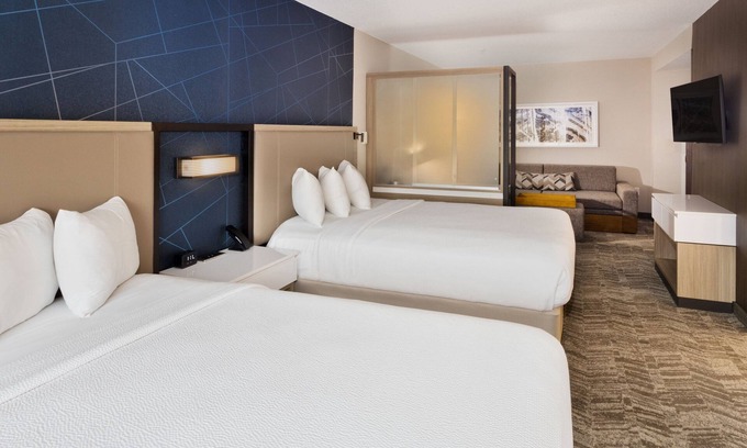 Crestline Heights Hotel | SpringHill Suites by Marriott Birmingham Colonnade
