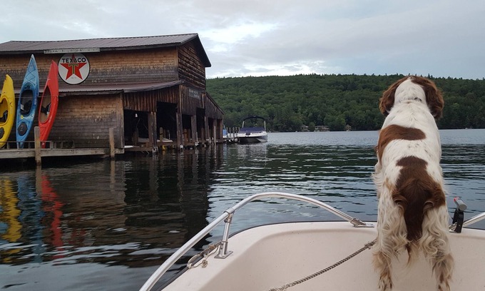 Holderness House | Squam Lake Waterfront home. You can't get any closer to the water!