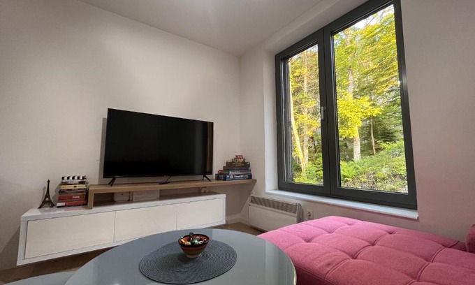 Bjelasnica Apartment | Srebrna Lisica 98 - Cosy studio appartment, near the ski track