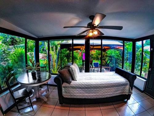 St. Petersburg - Clearwater House | St Pete beach house backyard Jungle Oasis!