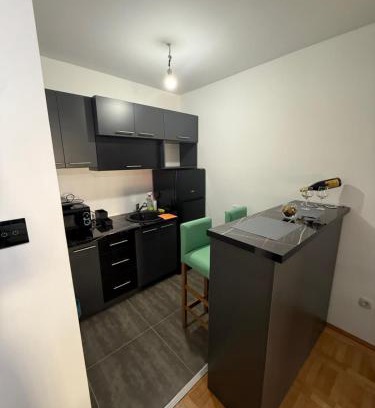 Despotovac Apartment | Stan na dan Despotovac