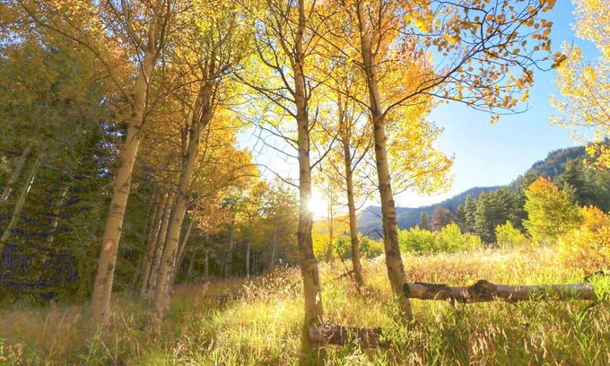 Jefferson RV Rental | Stargazing Wilderness Geodome at Bison Peak Lodge!