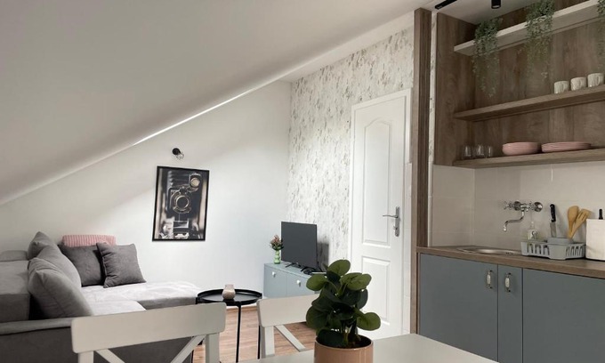 Valjevo Apartment | Stari grad 2