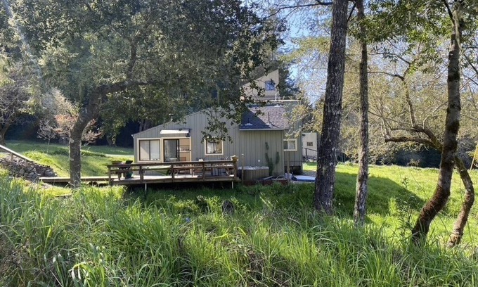 Occidental Cottage | Starry Skies above Occidental